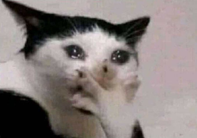 goosewin tweet media