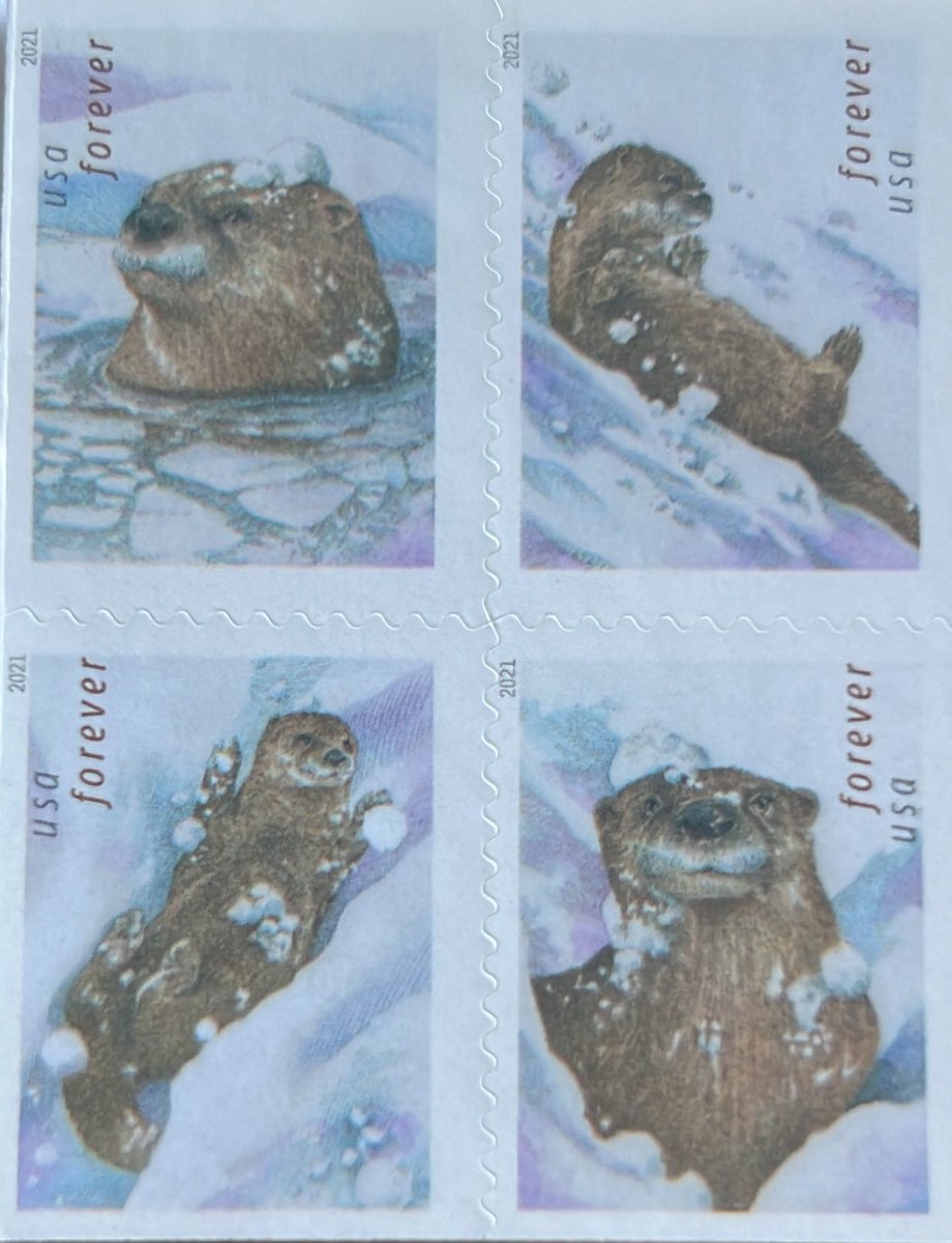 MaryAliceHunt's tweet photo. I’m thinking Travis and Taylor should be using these USPS otter stamps on the invitations!  

Travis - if you get the idea from me, I need an invite!  Ha ha ha! @taylorswift13 @tkelce @Chiefs @newheightshow 

 #NewHeights #TravisKelce #TaylorSwift #Otters https://t.co/qaqWekagGJ