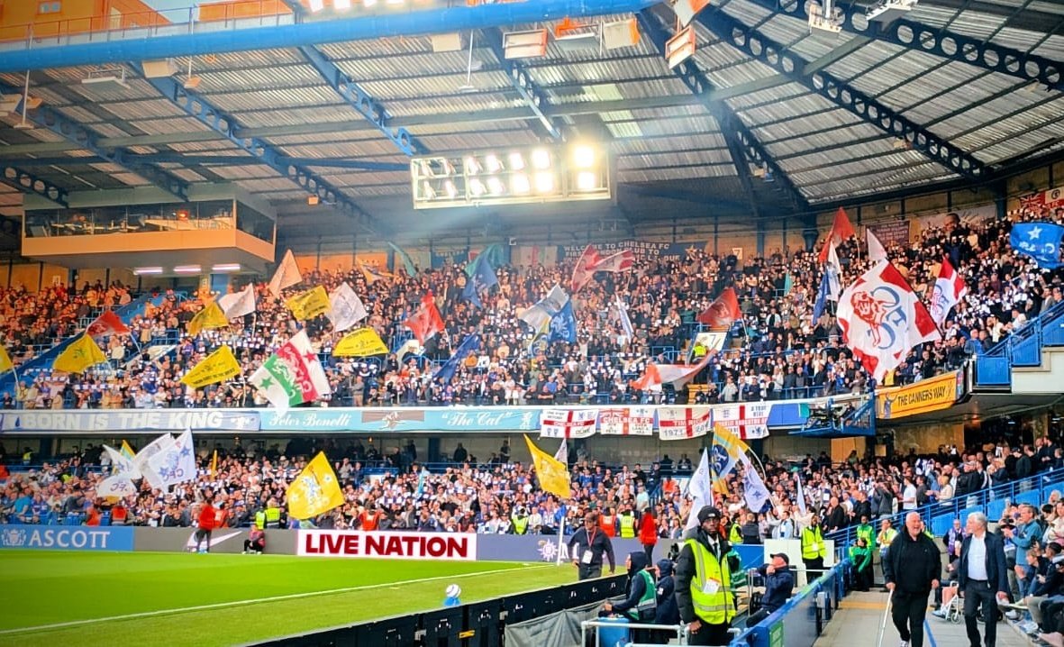 WE ARE THE SHED ⭐⭐ tweet media