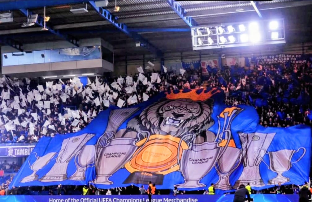 WE ARE THE SHED ⭐⭐ tweet media