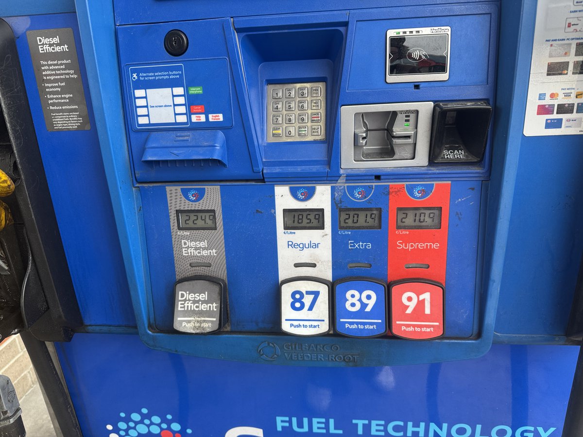 Brattani tweet media