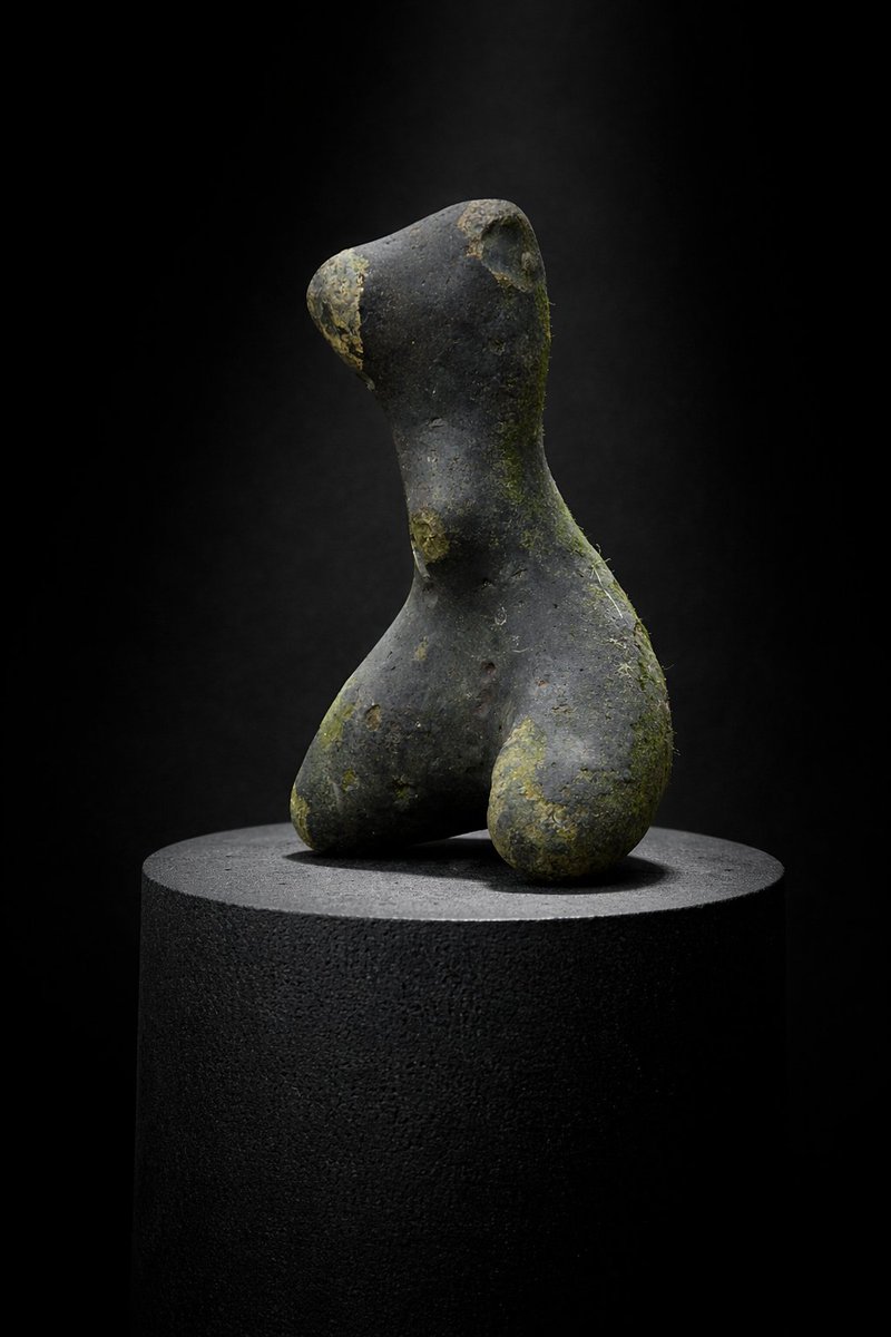 Books Landscape Magic tweet media