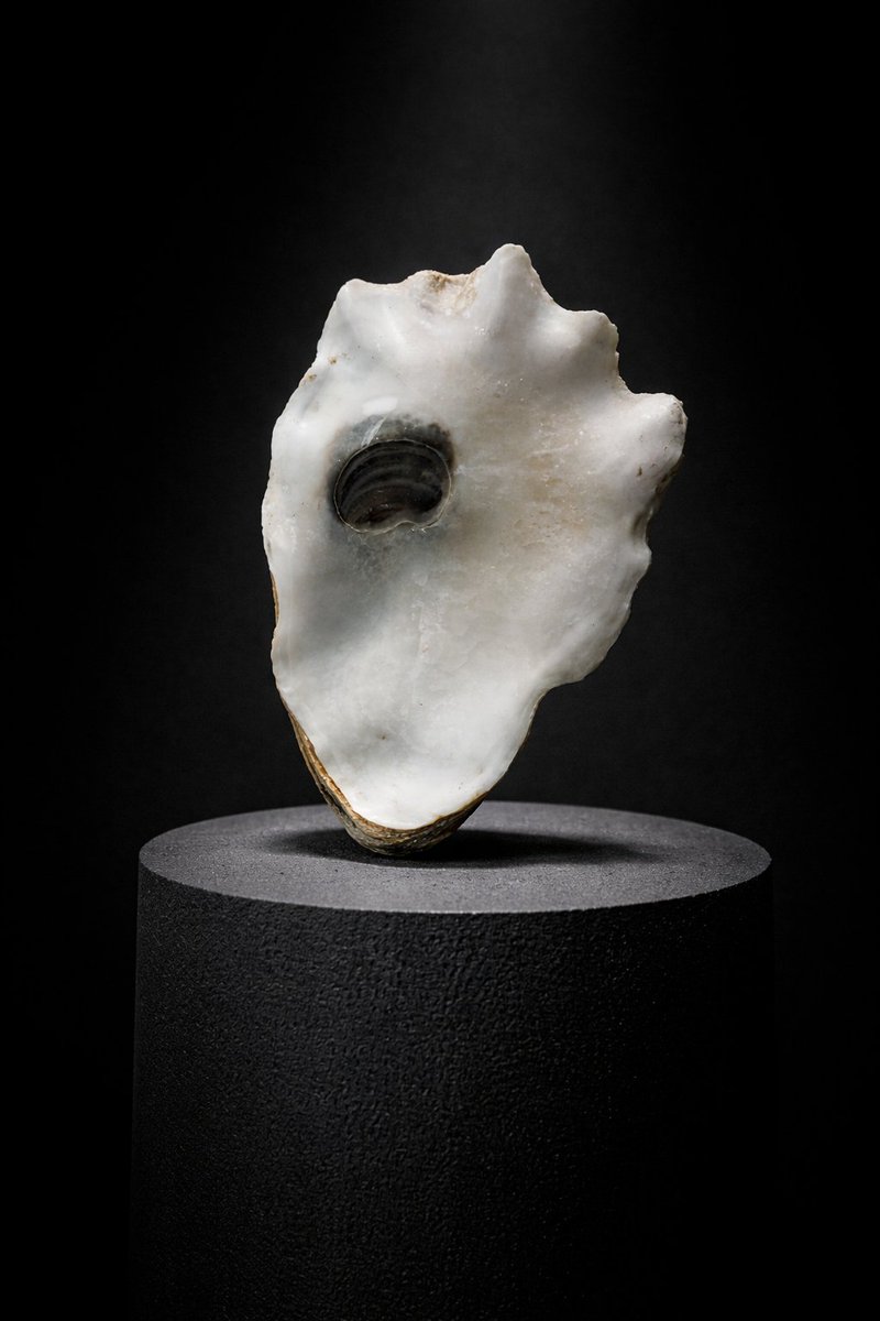 Books Landscape Magic tweet media