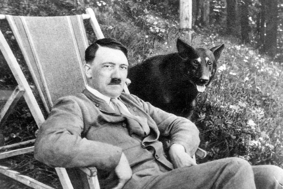 Syravil de Bergeyote tweet media