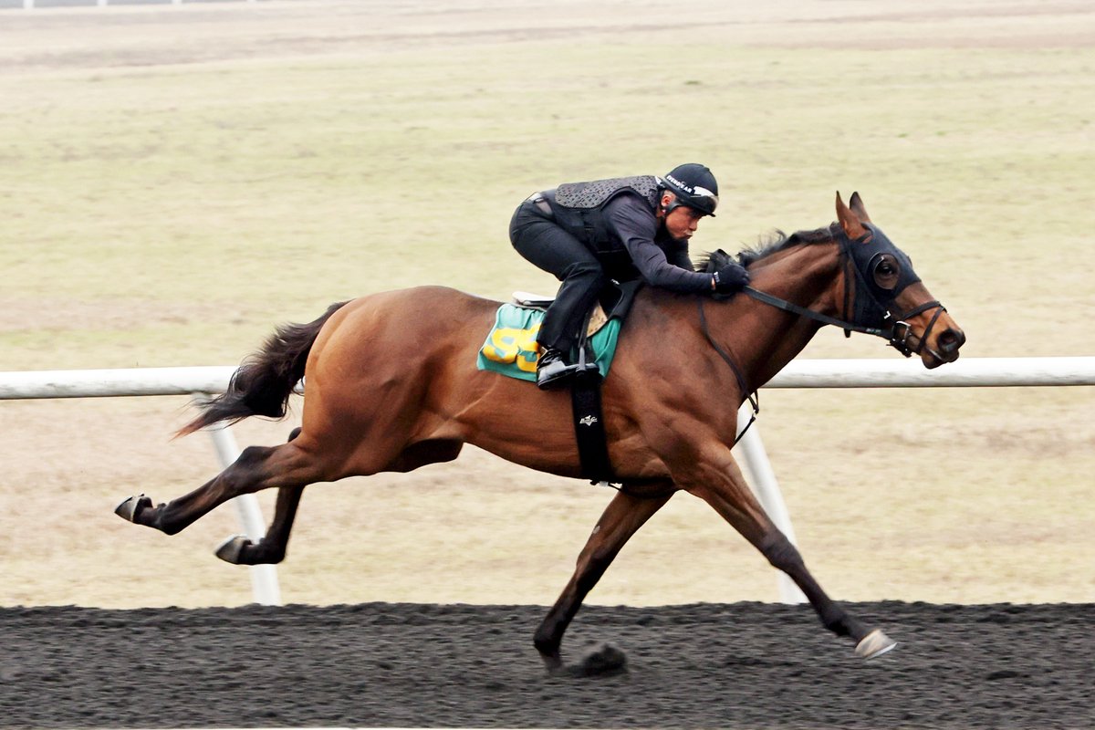 OBSSales tweet media