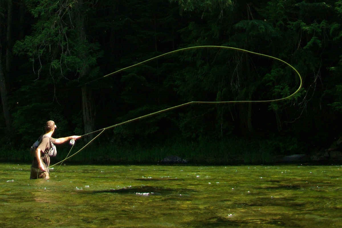 Ahead of the Curve tweet media