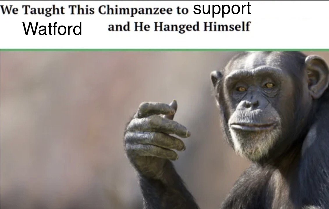 Ignoramus tweet media