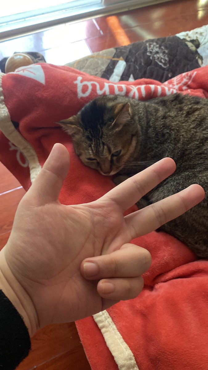 朝闻道 tweet media