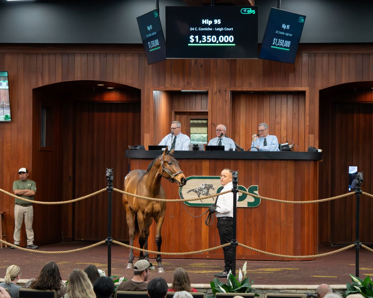 OBSSales tweet media