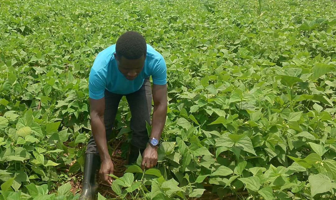 On March 9, 2026, in Mwogo Sector, Bugesera District, a CFOV visited vegetable farmers growing cabbage, eggplant, and peas near Ingwiti marshland, advising them on crop care, early pest control, and addressing rising input costs.