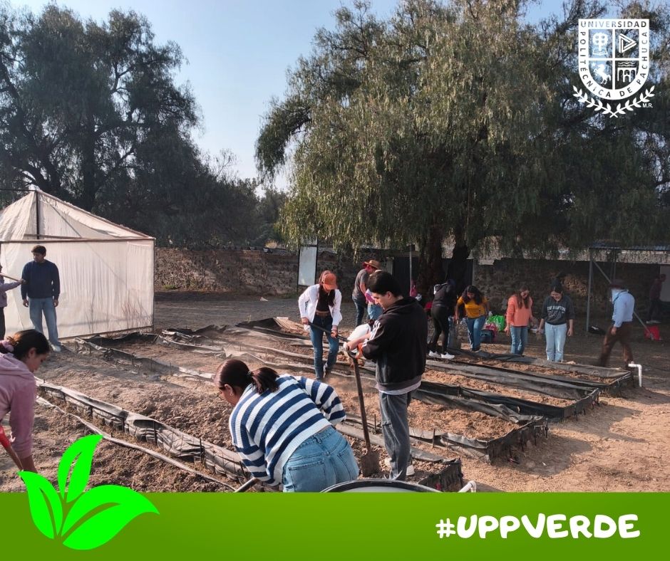 Universidad Politécnica de Pachuca tweet media