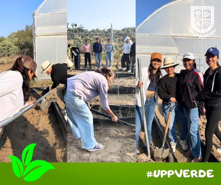 Universidad Politécnica de Pachuca tweet media