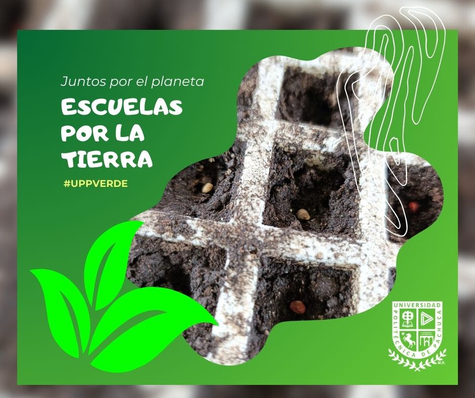 Universidad Politécnica de Pachuca tweet media