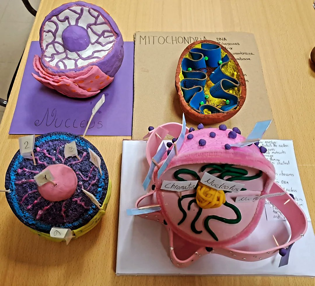 IES ISAAC ALBÉNIZ de Leganés tweet media