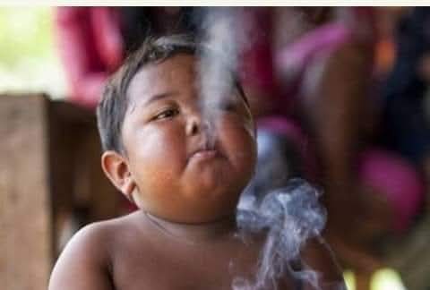 Antonio Rodriquez tweet media