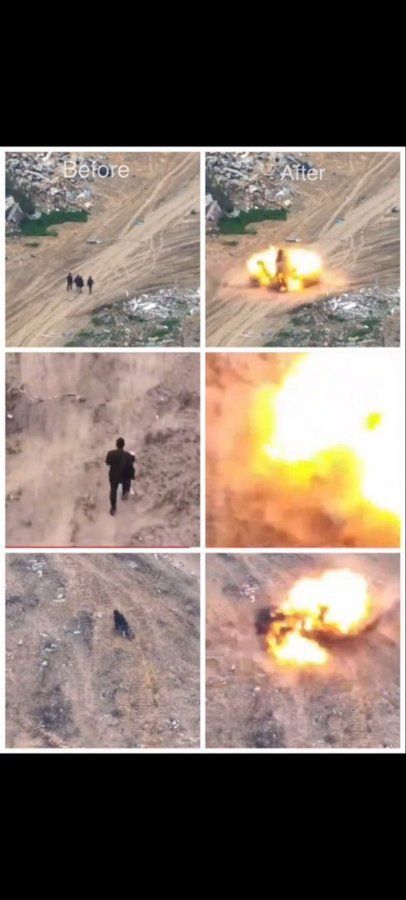 #القدس_ينتفض 🇵🇸 tweet media