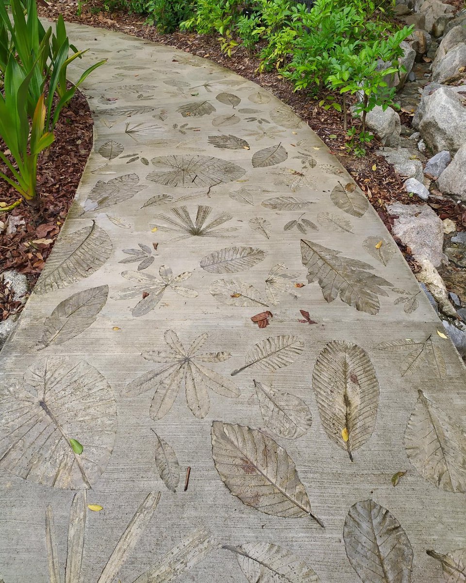 archpng's tweet photo. Singapore Botanic Gardens, but the “botany” is under your feet. 

This leaf-pattern walkway is made by pressing real leaves into wet concrete to capture their veins and silhouettes—an intentionally “nature-printed” path detail seen in the Singapore Botanic Gardens. https://t.co/fLXwKIDDcz