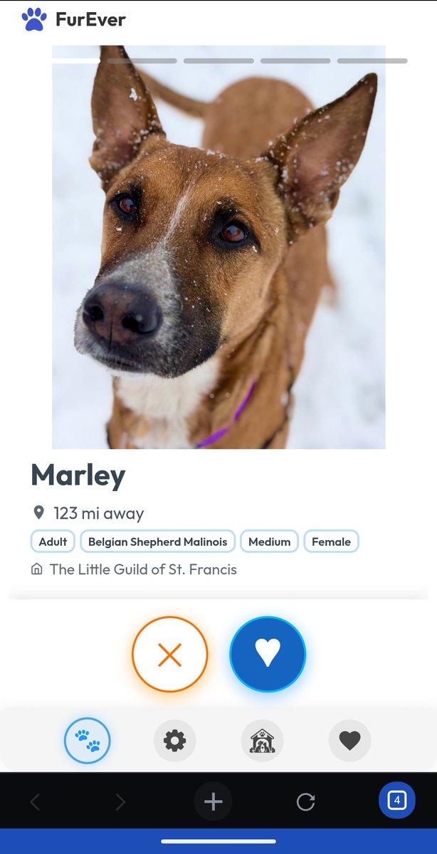 Buzzkllll tweet media