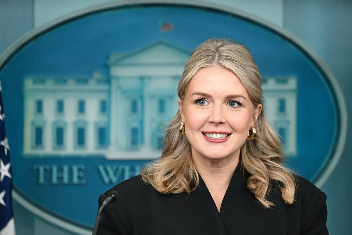 Lucas Sanders 👊🏽🔥🇺🇸 tweet media