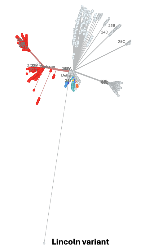 Marc Johnson tweet media