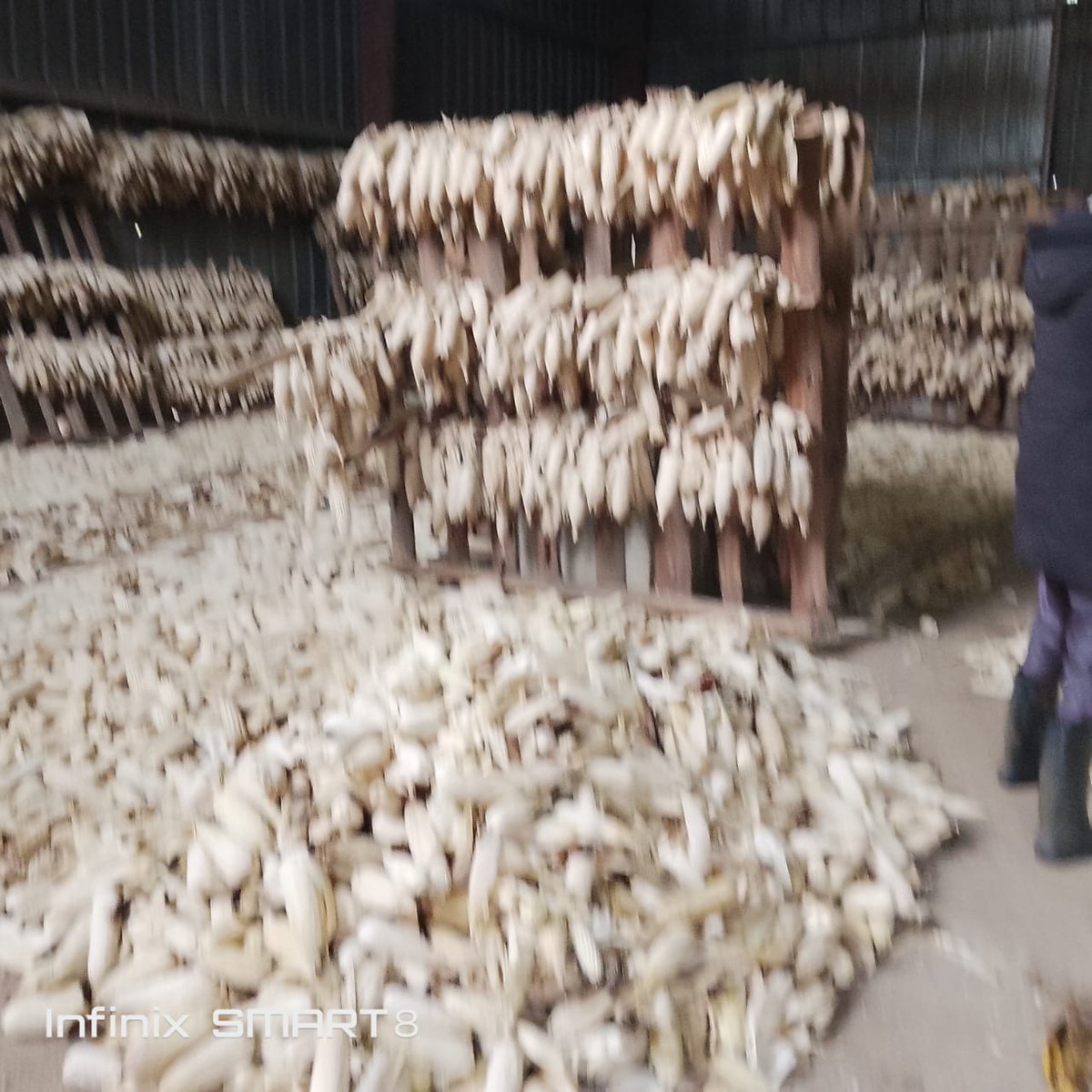 On March 9, 2026, in Kanjongo Sector, <a href="/Nyamasheke/">Nyamasheke District</a>,  a visit was conducted at the FoBaSi Rwakina site to check harvested maize management and advise farmers to store it properly in designated places to avoid damage.