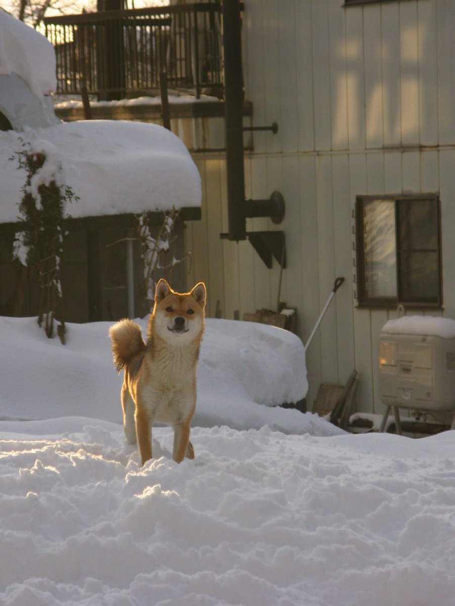 Kantaro San tweet media