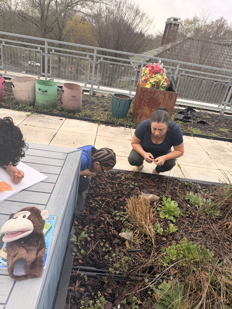 Kristin Siembieda tweet media