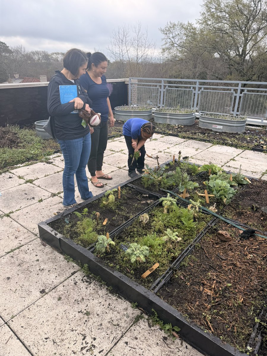 Kristin Siembieda tweet media