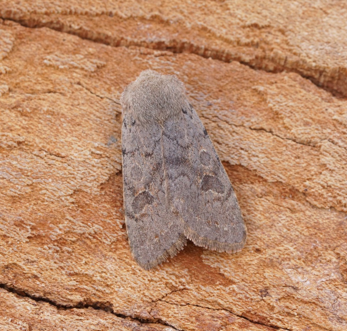 Ben Sale tweet media