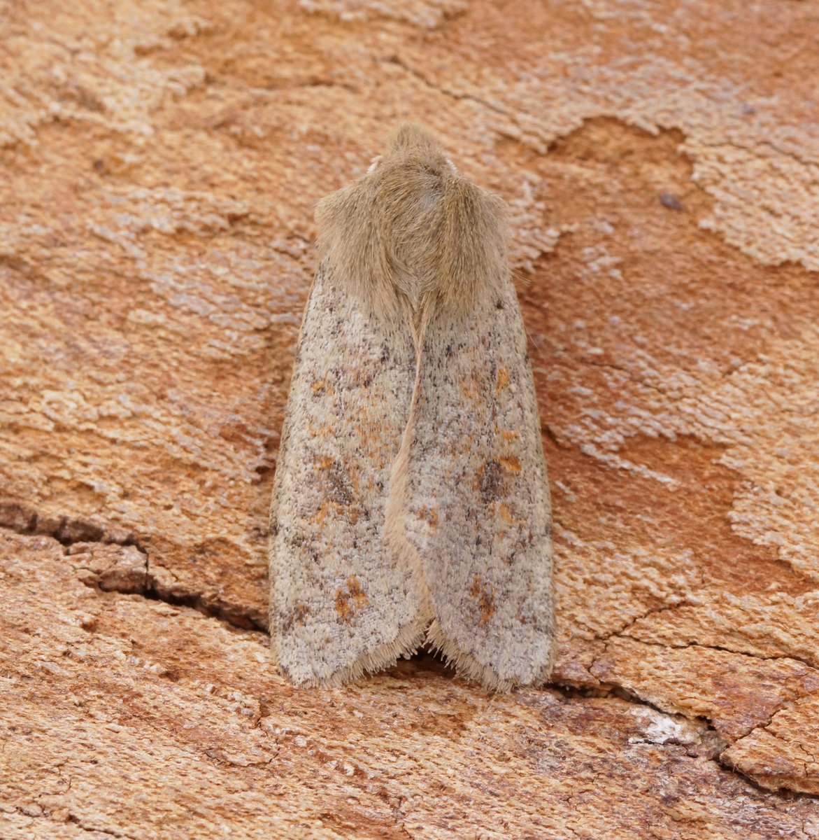 Ben Sale tweet media