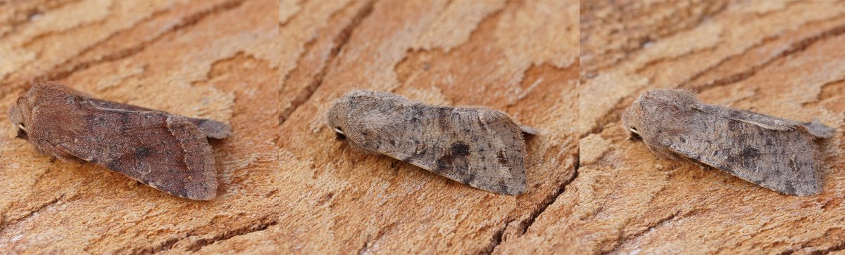 Ben Sale tweet media