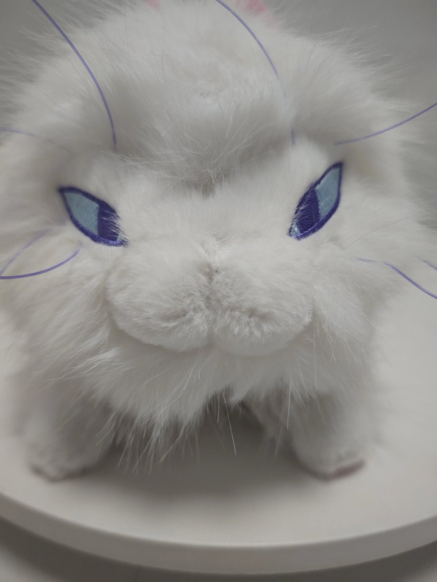 Bewilderium tweet media