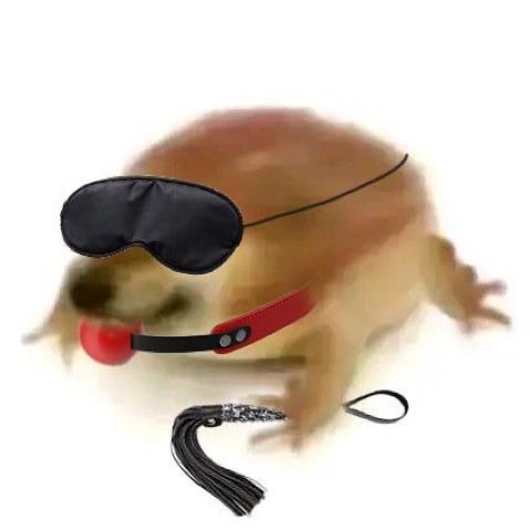 one of those rare coins where time will actually be your ally instead of your enemy

what the dog doing is a question so deep that it might take some time to solve it