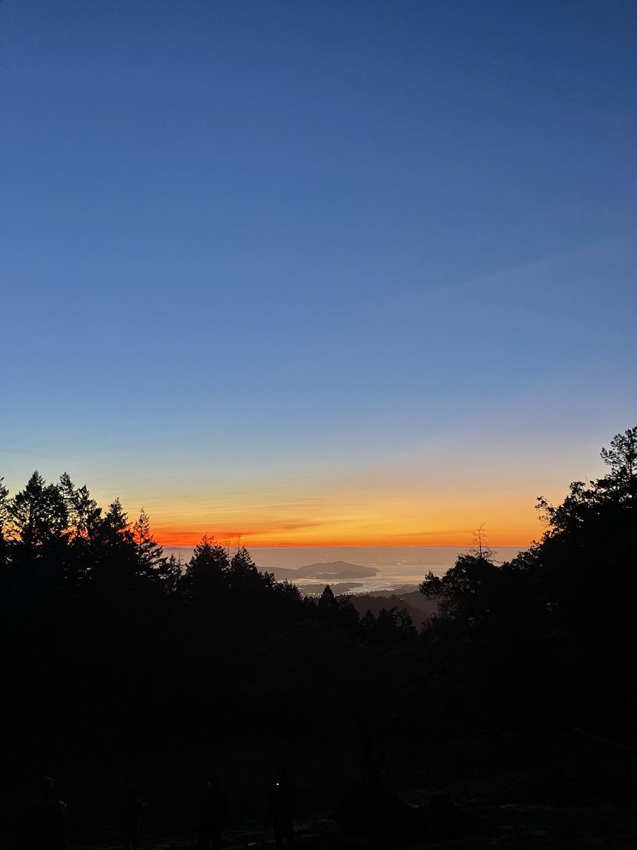 Stuart Bladon tweet media