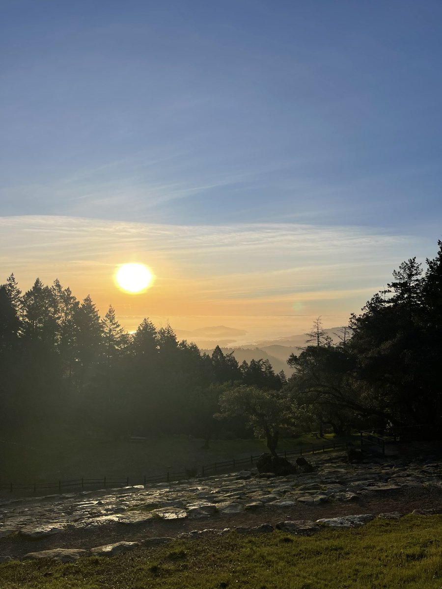 Stuart Bladon tweet media