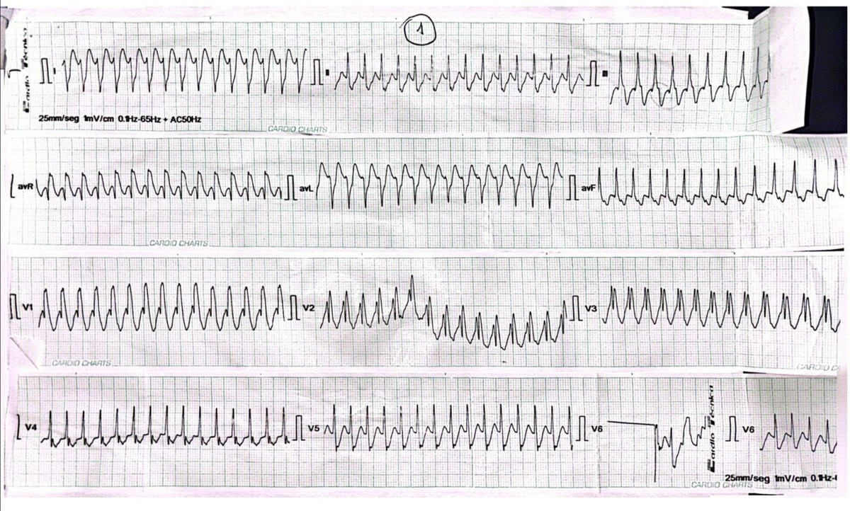 Nelson Polo Taborda tweet media