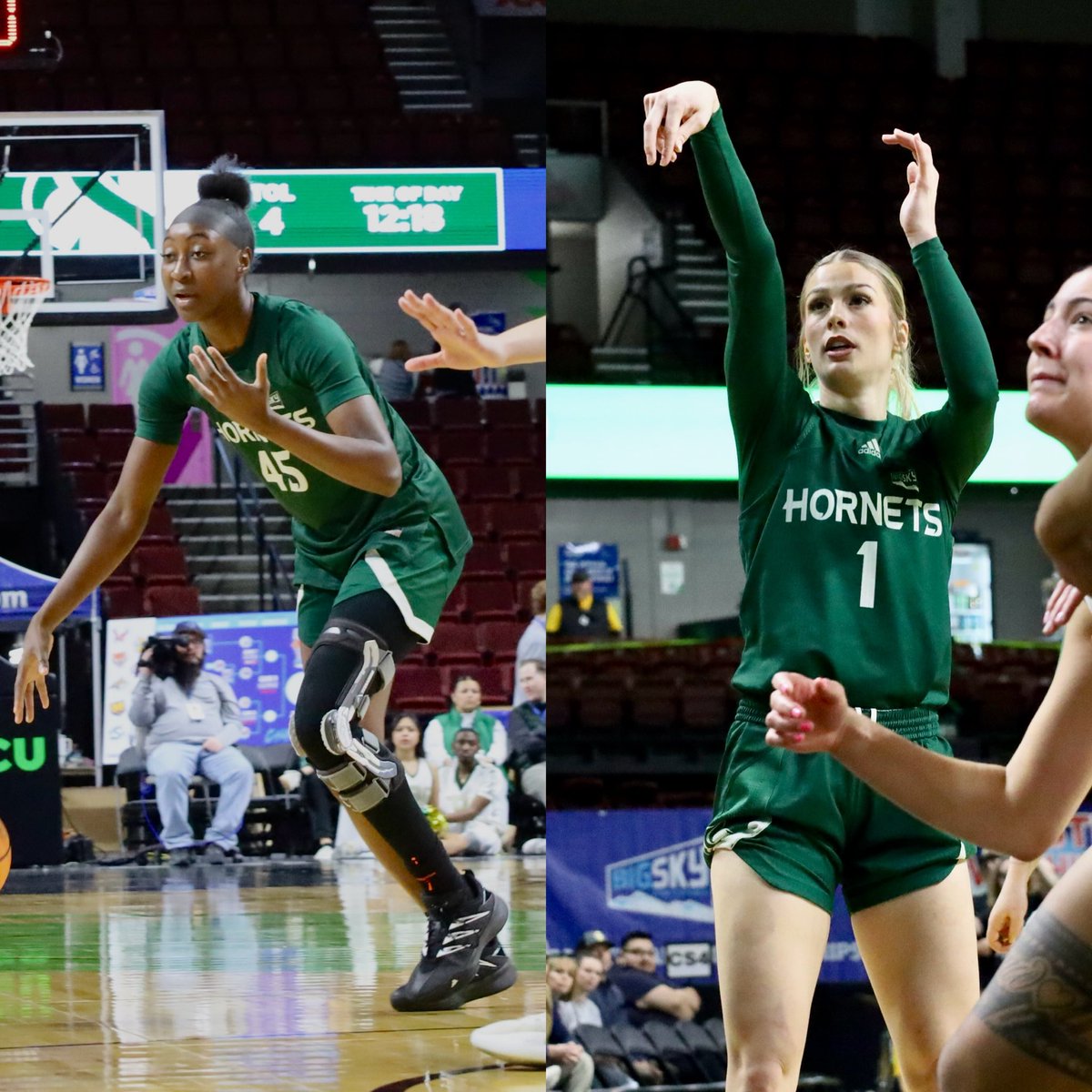 Jack Dann tweet media