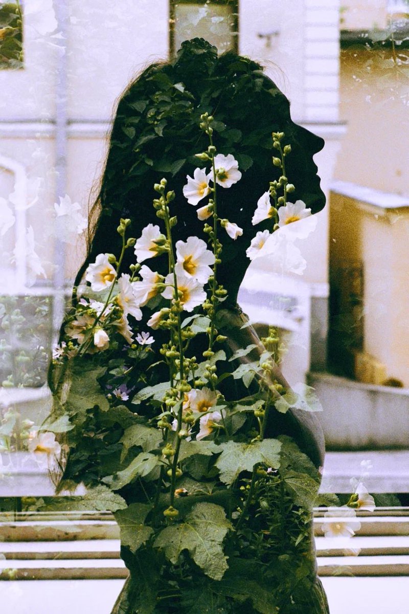 The film negative ⠀| ⠀The photo itself