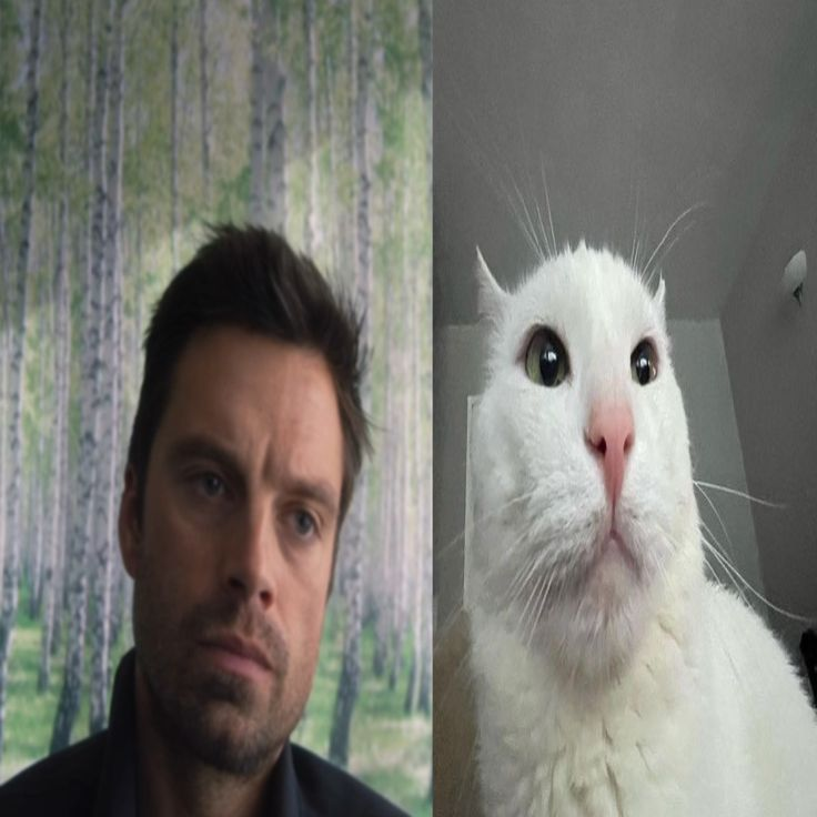 happy birthday to my beautiful princess with disorders. sorry your long-term husband went back in time and became sorta incestuous. sorry your new boyfriend is lowk mad as fuck at you. #bitchless