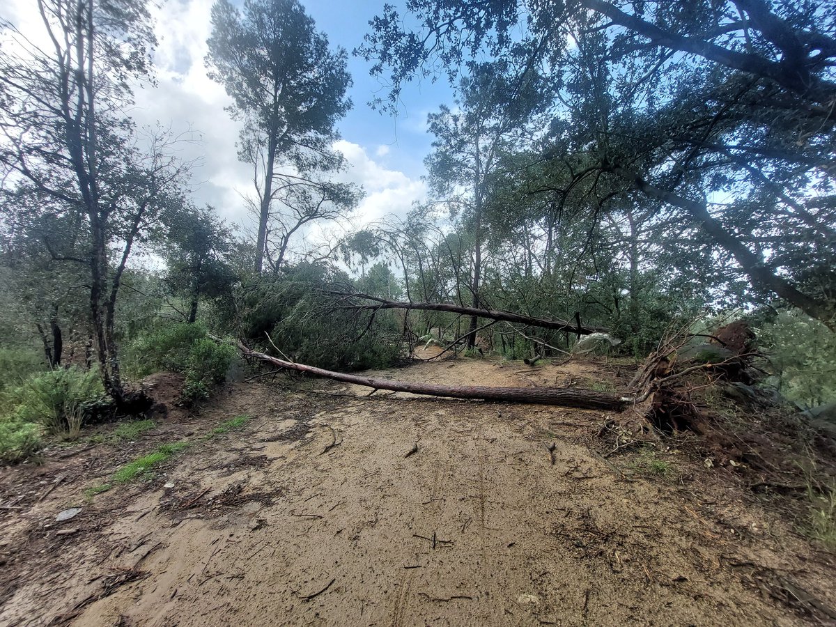 ADF Serra de Marina tweet media