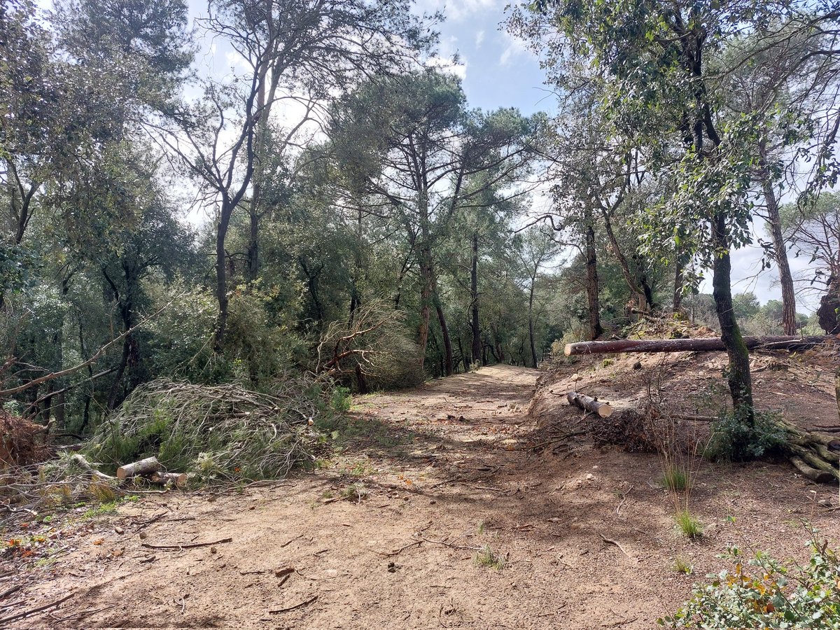 ADF Serra de Marina tweet media