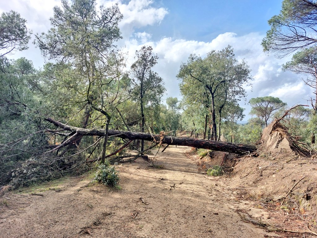 ADF Serra de Marina tweet media