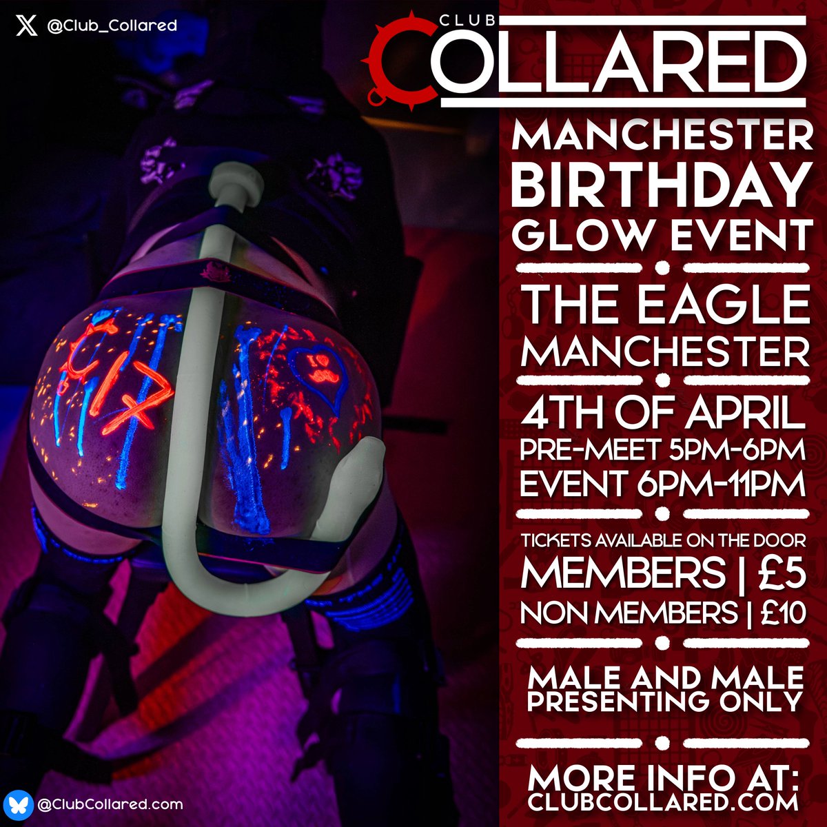 Club Collared tweet media