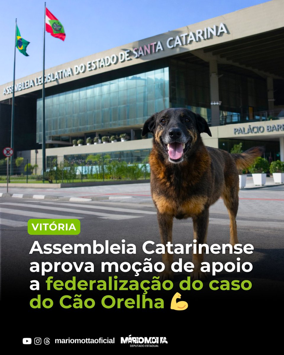 depmariomotta's tweet photo. Queridos amigos, 

Aqui em Brasília acabo de receber uma ótima notícia: hoje a ALESC aprovou uma moção de apoio pela federalização do Caso Orelha.

Eu infelizmente não pude votar a favor da moção, mas foi por um motivo justo. Justamente hoje viajei à Brasília para buscar apoio em favor da federalização do caso. Passei o dia visitando Deputados, Senadores e trazendo embasamento para que as investigações avancem. Felizmente, a moção de apoio aprovada irá me ajudar bastante nessa missão!

Isso só demonstra que a vontade popular é clara, por isso os representantes do povo devem acompanhar o anseio da sociedade.