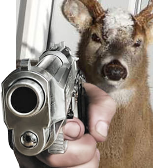 Phoenix Diluted tweet media