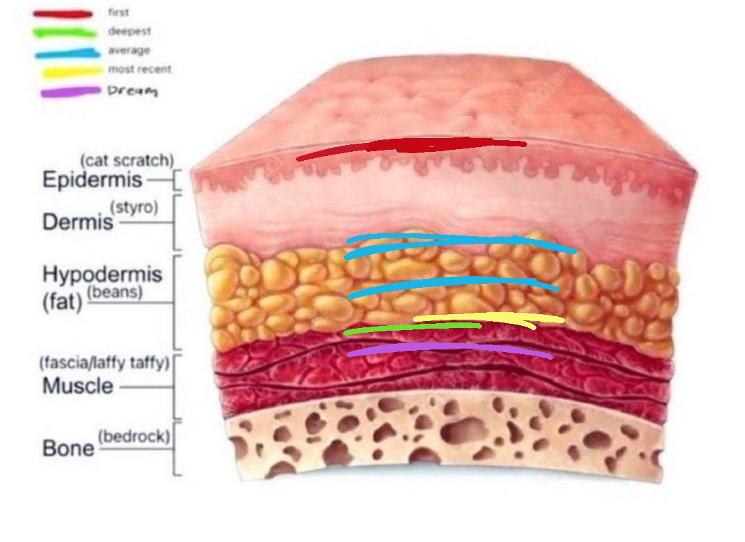 yoshiki of shtwt tweet media