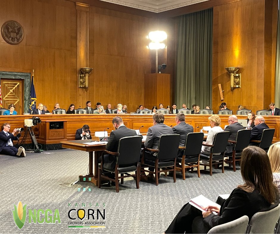 Kansas Corn tweet media