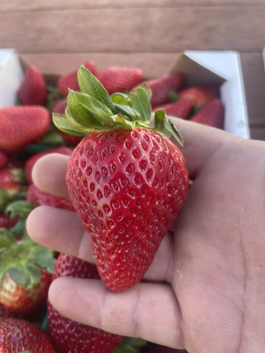 April Becker tweet media