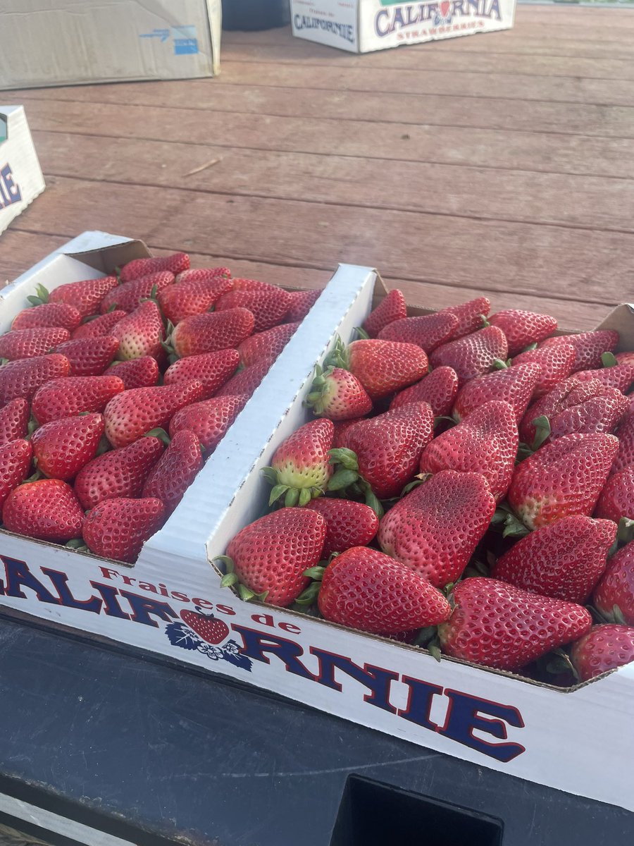 April Becker tweet media