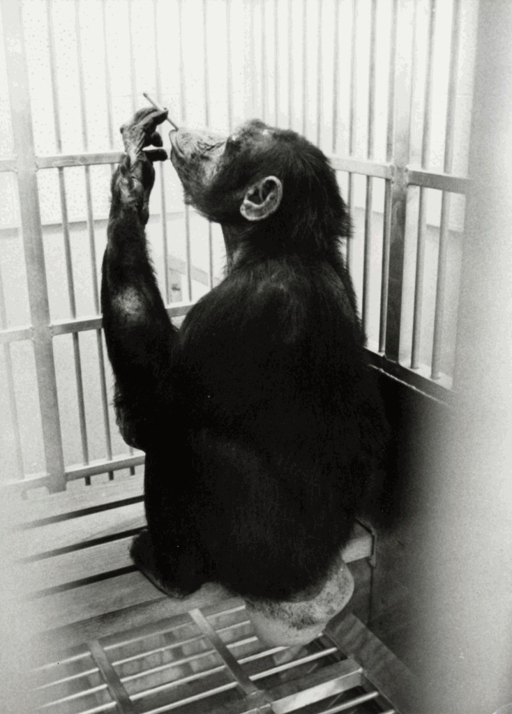 Taylor Sterling tweet media